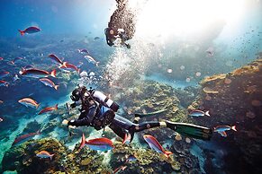 Heron Island Resort