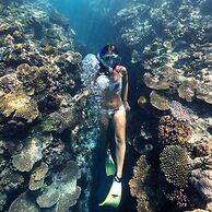 Heron Island Resort