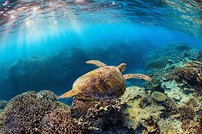 Heron Island Resort