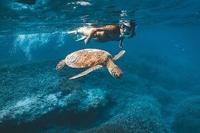 Heron Island Resort