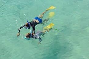 Heron Island Resort
