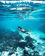 Heron Island Resort