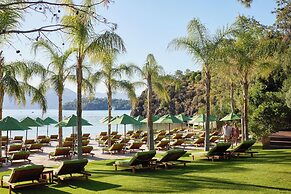 D Maris Bay