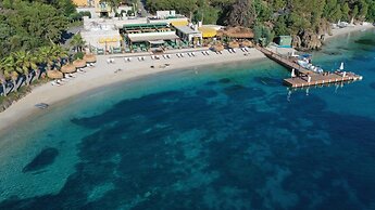 D Maris Bay
