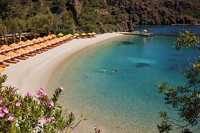 D Maris Bay