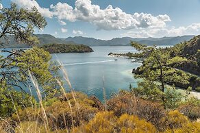 D Maris Bay