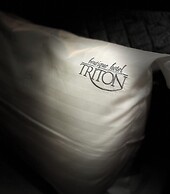 Hotel Triton
