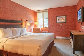 The Fox Hotel and Suites