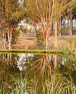 Estate Tuscany