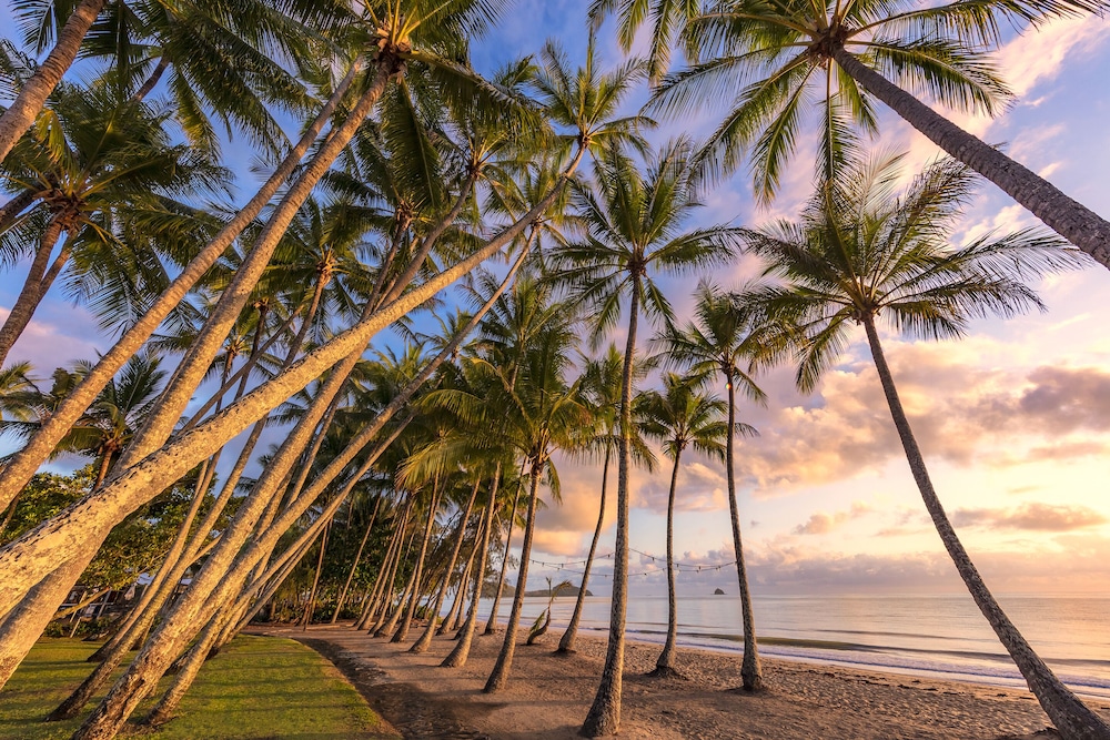 Drift Palm Cove