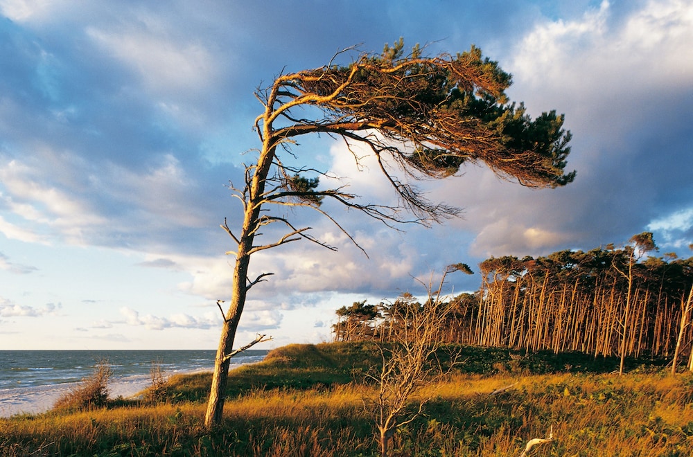 Strandhotel Fischland