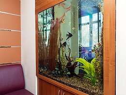 Maxima Slavia Hotel
