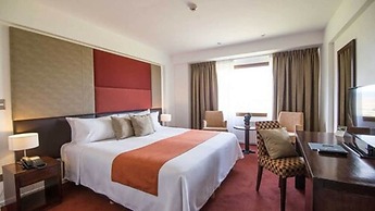 Rochester Calafate