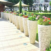 Barceló Royal Beach – All Inclusive