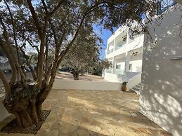 Oasis Beach Hotel
