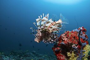 Biyadhoo Island Resort