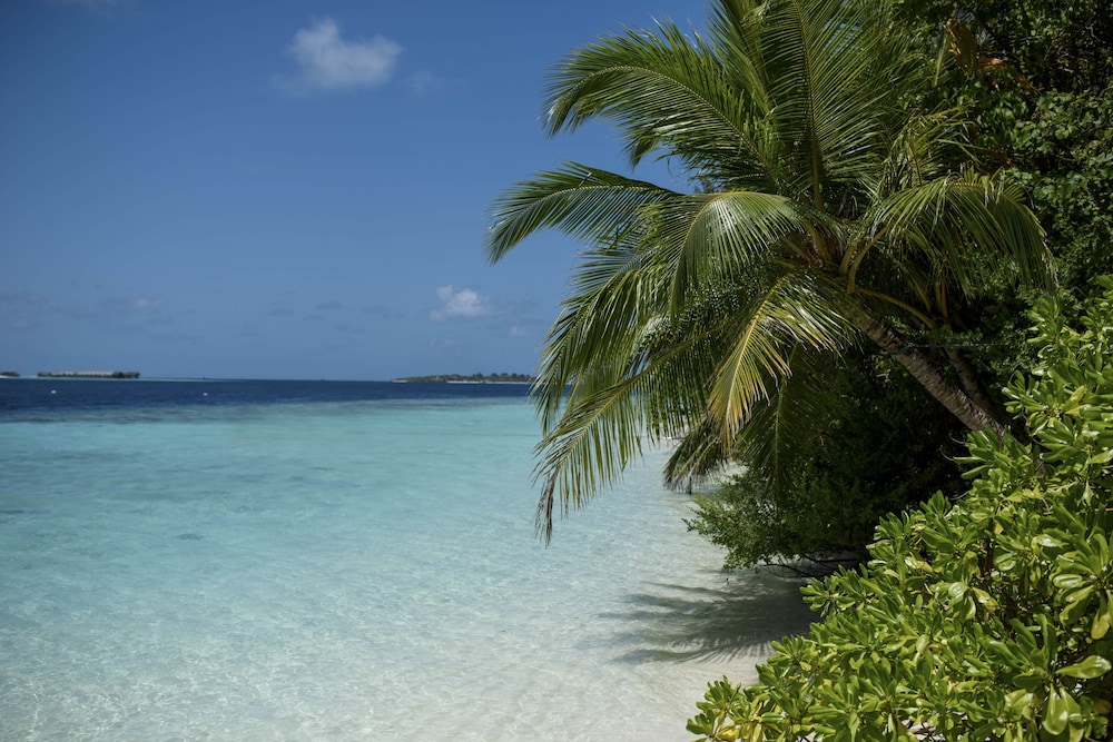 Biyadhoo Island Resort