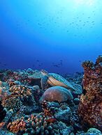 Bandos Maldives