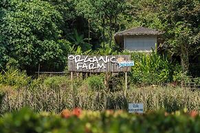 Paradise KohYao
