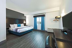 Comfort Hotel
