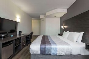 Comfort Hotel