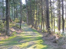 Blueberry Lake Resort