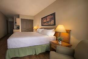 Palliser Lodge