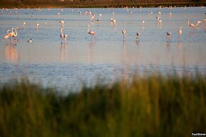 Hotel Solemare