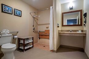 Comfort Suites Mobile
