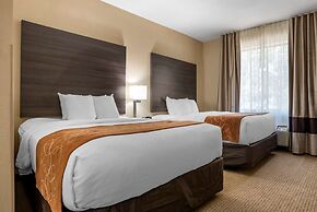 Comfort Suites Mobile