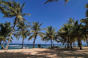 Palms Resort and Beach