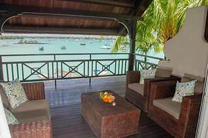 The Paradise by Tunga