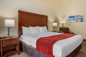 Comfort Inn & Suites Fort Myers Airport