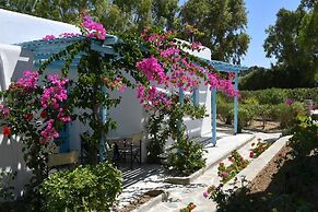 Surfing Beach Village