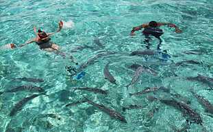 Matachica Resort & Spa - Adults Only