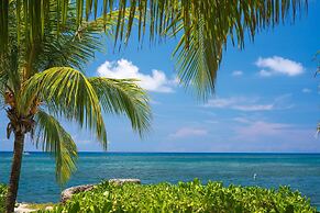 Las Rocas Resort And Dive Center