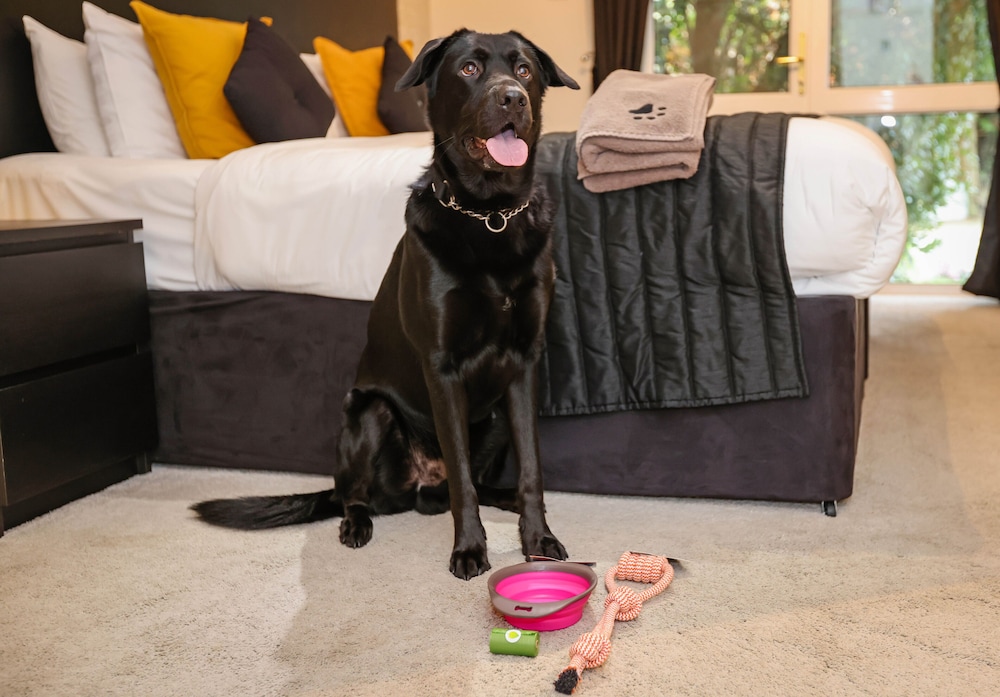 The Ashleigh - Dog Friendly