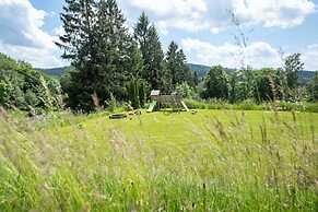 Michel Hotel Waldkirchen am Badepark