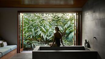 Qualia