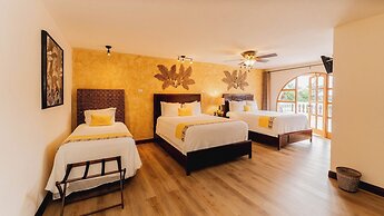 Buena Vista Chic Hotel