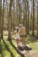 Paperbark Camp
