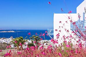 Vencia Boutique Hotel