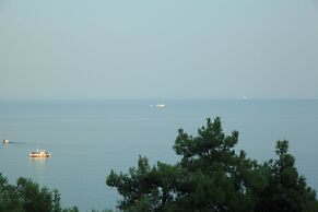 Bomo Tosca Beach