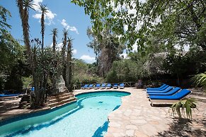 Fig Tree Camp