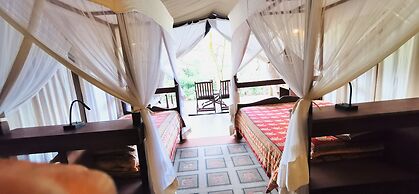 Fig Tree Camp