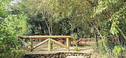 Fig Tree Camp