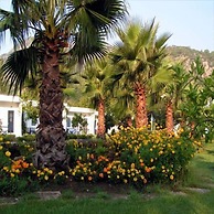 Blue & White Hotel