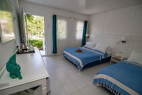 Blue & White Hotel