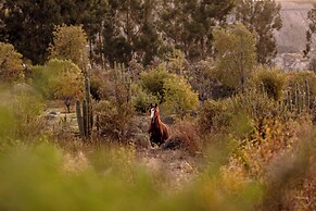 Las Casitas, A Belmond Hotel, Colca Canyon