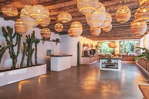 Flamingo Hotel & Spa - Pet Friendly
